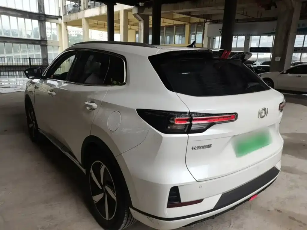 Qiyuan Q05 Classic 2024 из CN, фото 7