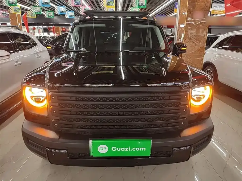 Haval Menglong New Energy 2024 из CN, фото 4