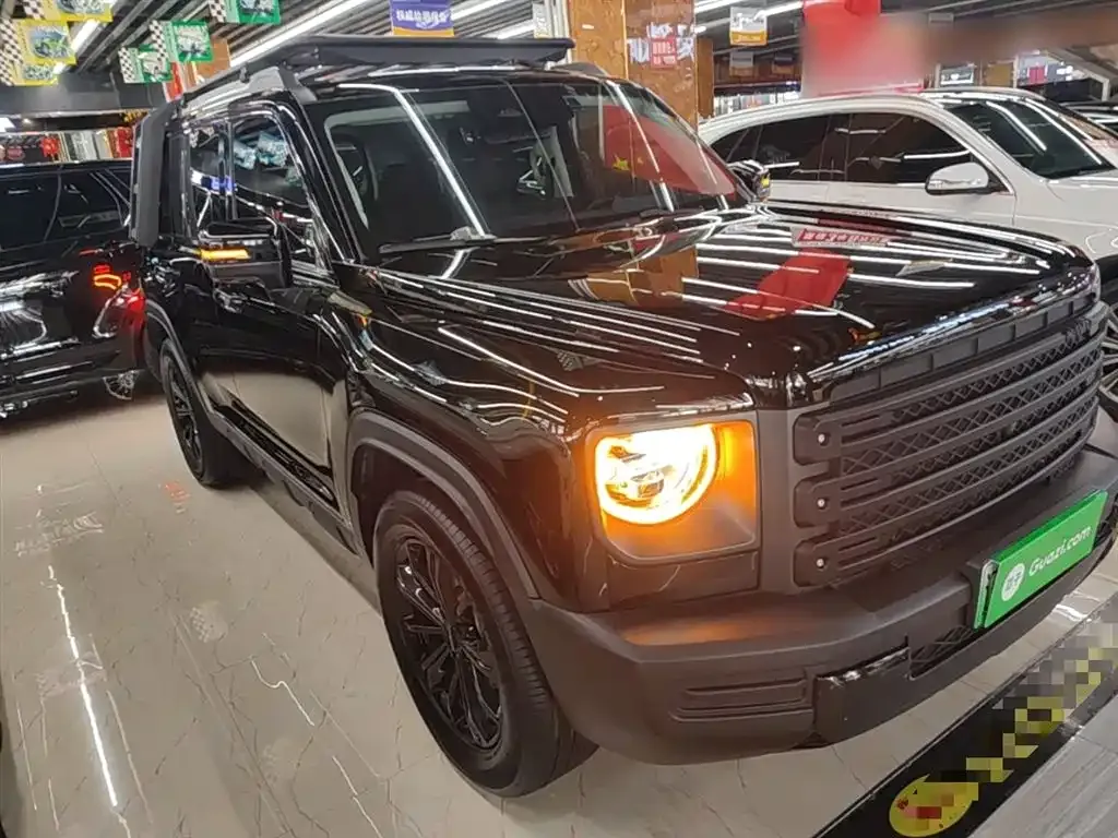 Haval Menglong New Energy 2024 из CN, фото 9