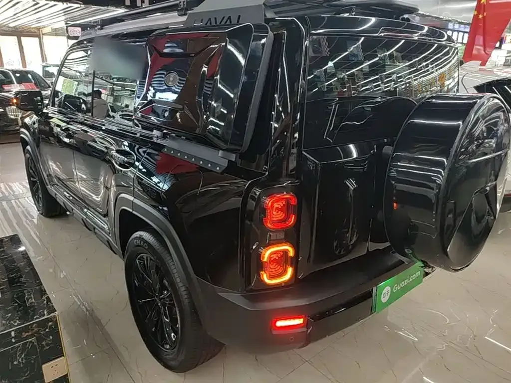 Haval Menglong New Energy 2024 из CN, фото 10