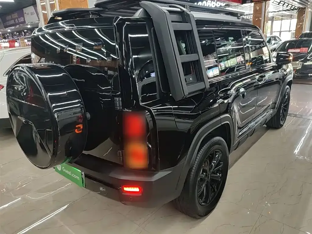 Haval Menglong New Energy 2024 из CN, фото 6