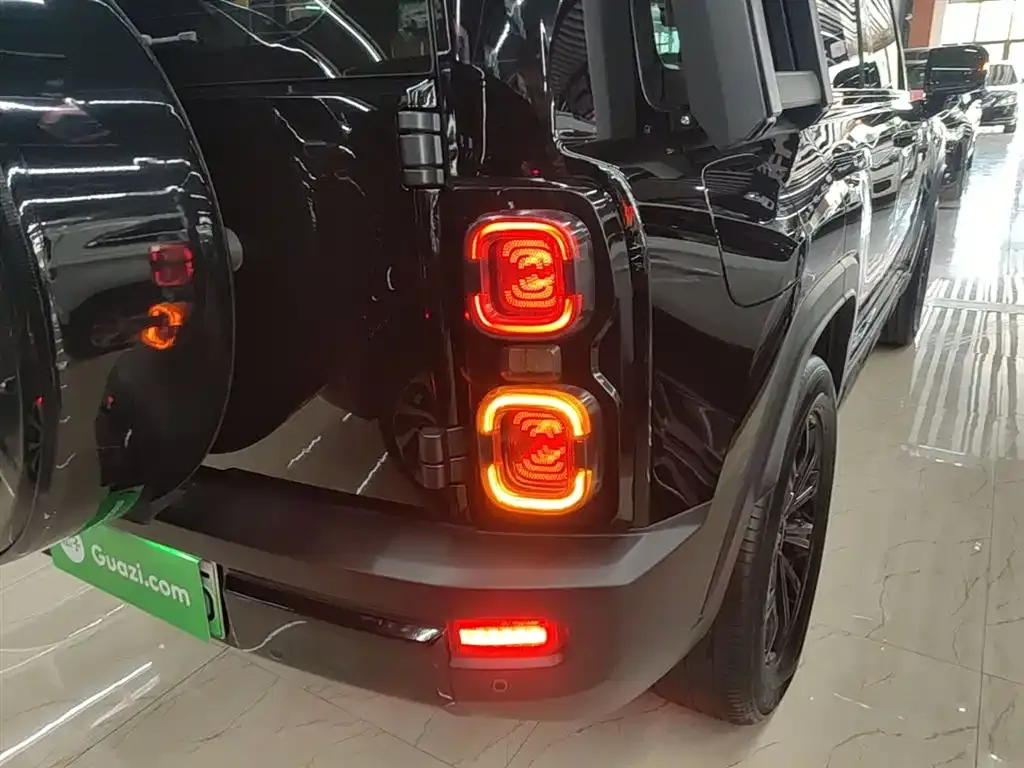 Haval Menglong New Energy 2024 из CN, фото 5