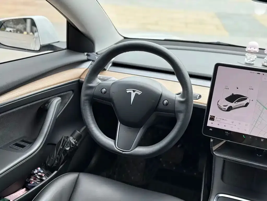 Tesla Model 3 — фото 9