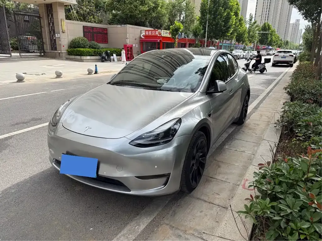Tesla Model Y 2021 из CN, фото 1