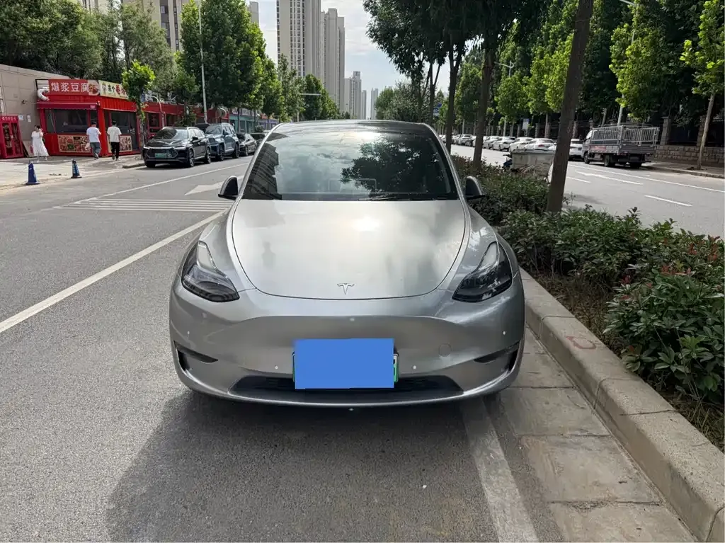 Tesla Model Y 2021 из CN, фото 8
