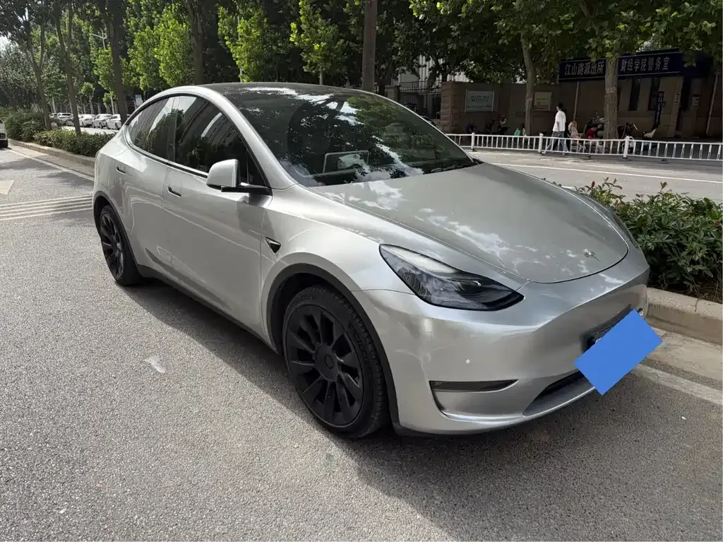 Tesla Model Y 2021 из CN, фото 6