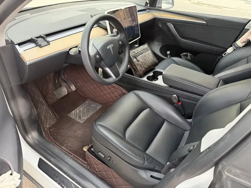 Tesla Model Y 2021 из CN, фото 9