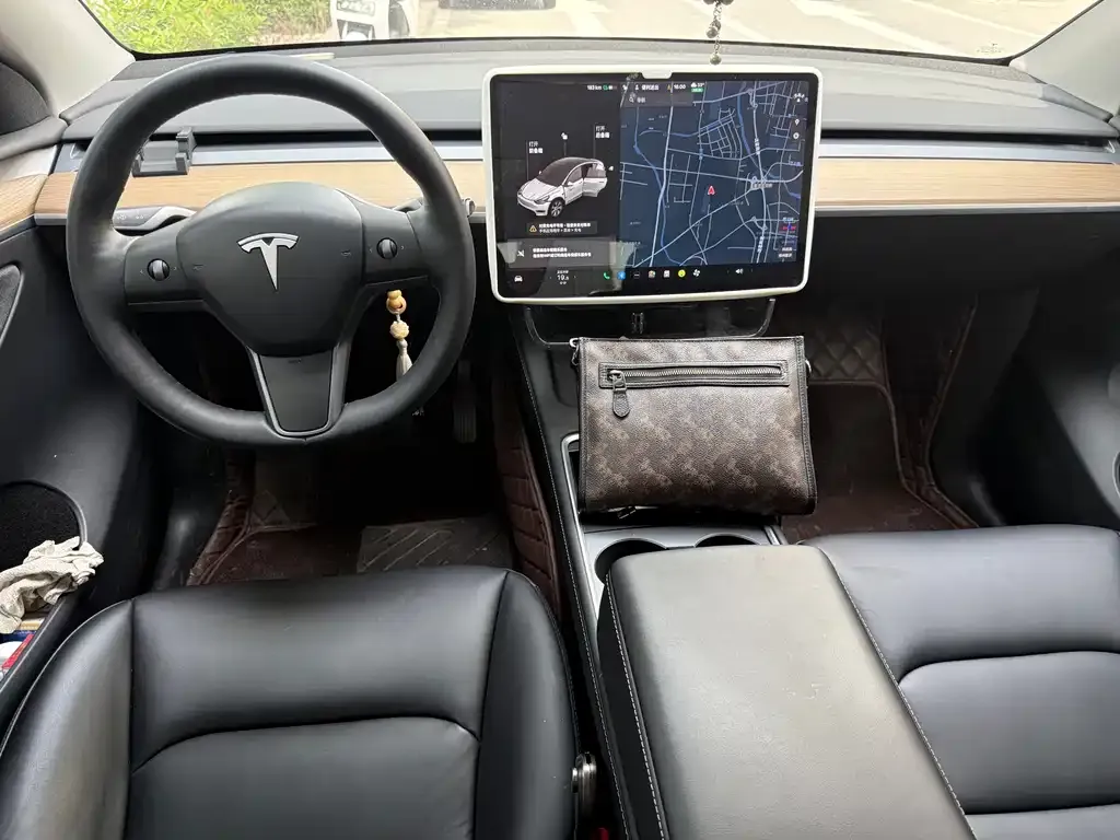 Tesla Model Y 2021 из CN, фото 5