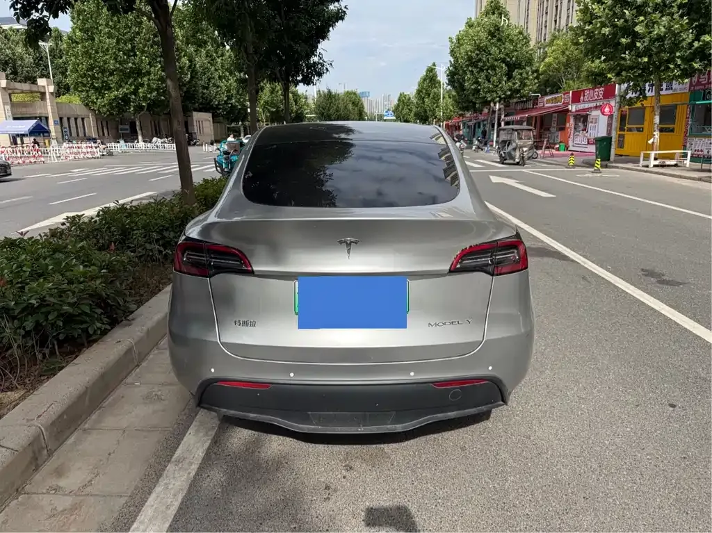 Tesla Model Y 2021 из CN, фото 7