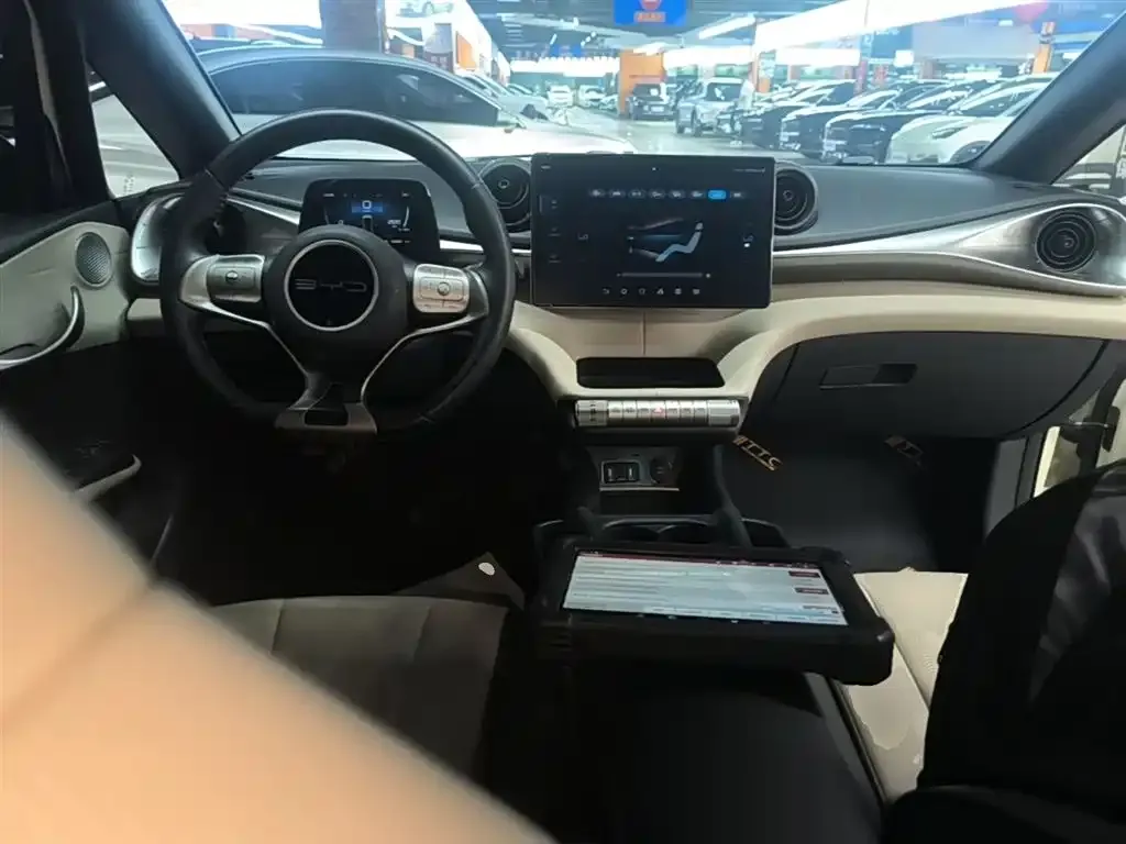 BYD Dolphin 2024 из CN, фото 2