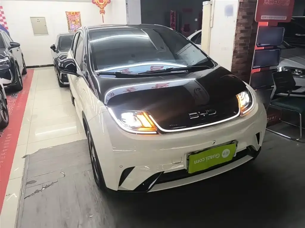 BYD Dolphin 2024 из CN, фото 5