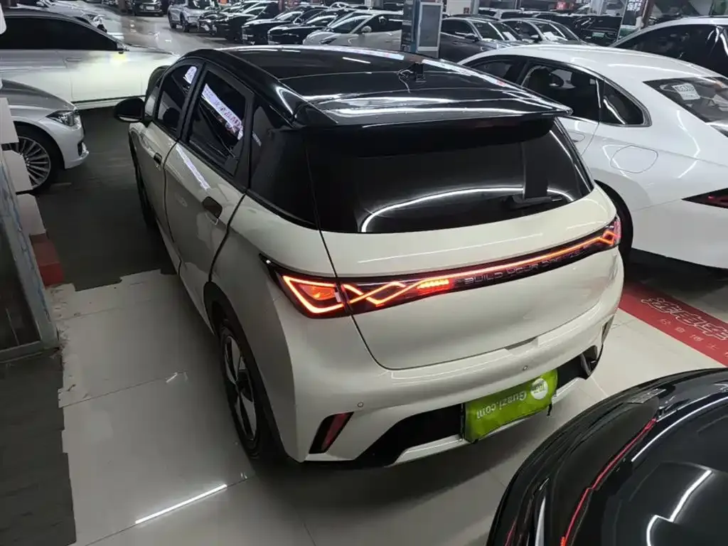 BYD Dolphin 2024 из CN, фото 10