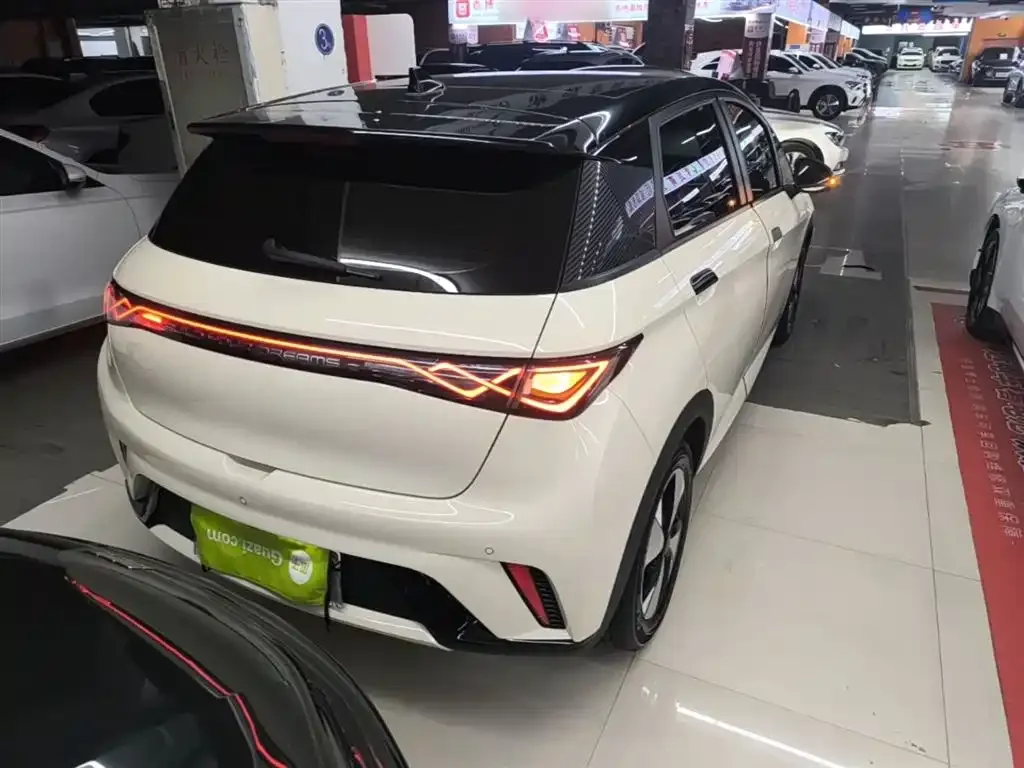 BYD Dolphin 2024 из CN, фото 8