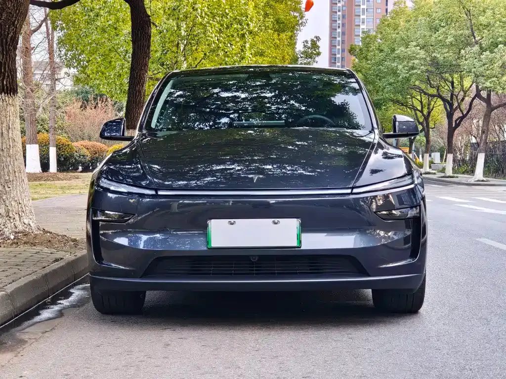 Tesla Model Y — фото 5