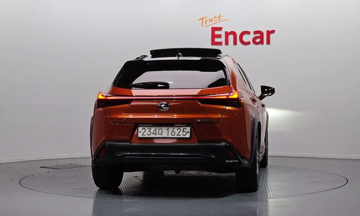 Lexus UX 2024 из KR, фото 2
