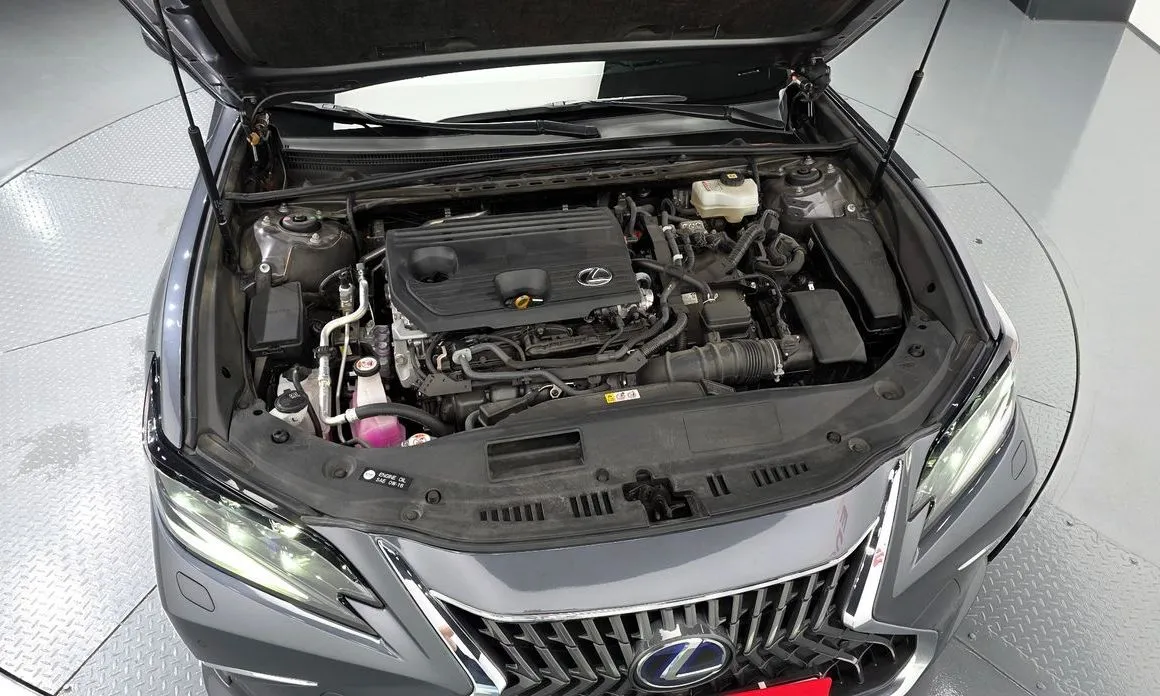 Lexus ES 2022 из KR, фото 8