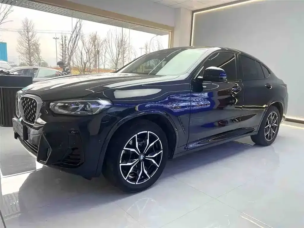 BMW X4 — фото 1