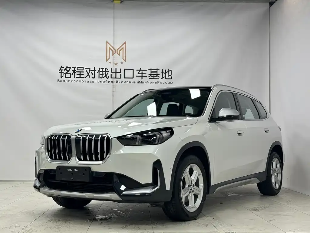 BMW X1 — фото 1