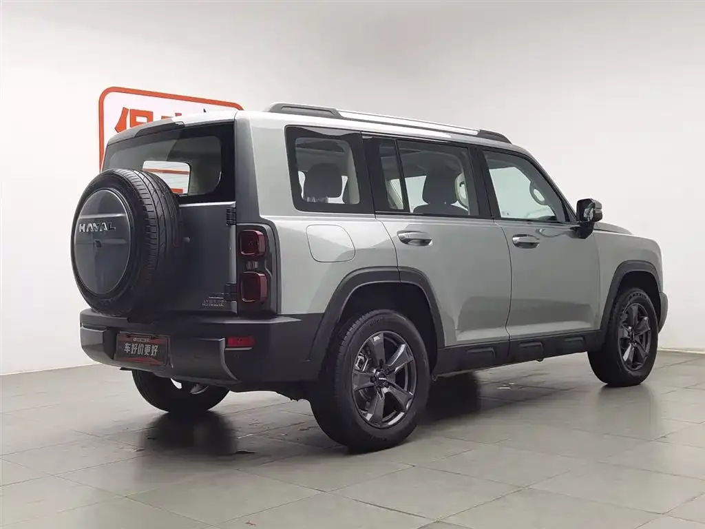Haval Menglong New Energy 2023 из CN, фото 6