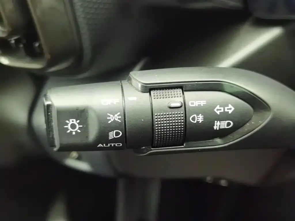 Haval Menglong New Energy 2023 из CN, фото 2