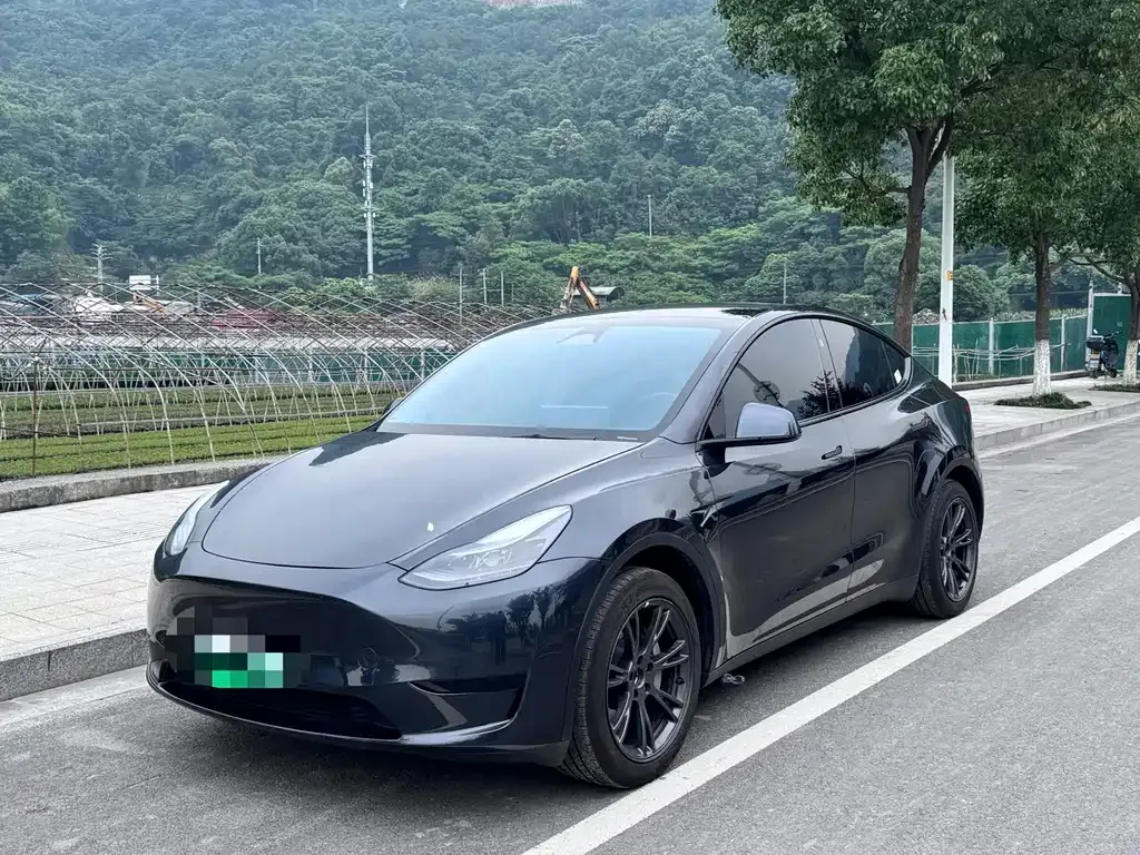 Tesla Model Y — фото 1