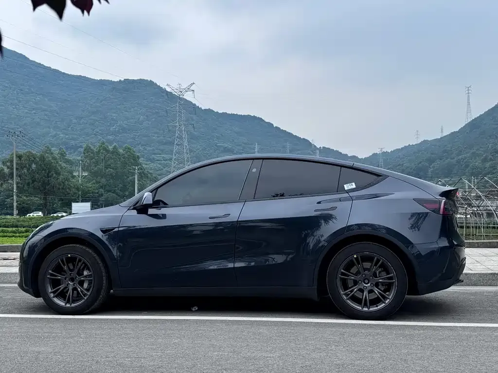 Tesla Model Y — фото 8