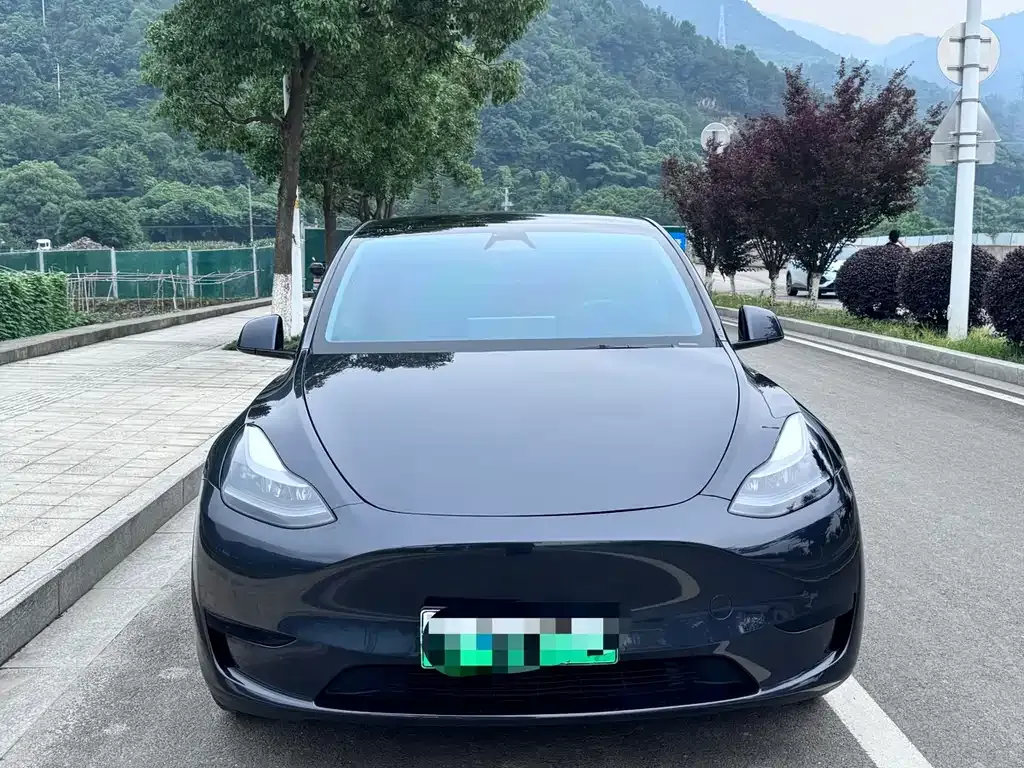 Tesla Model Y — фото 7