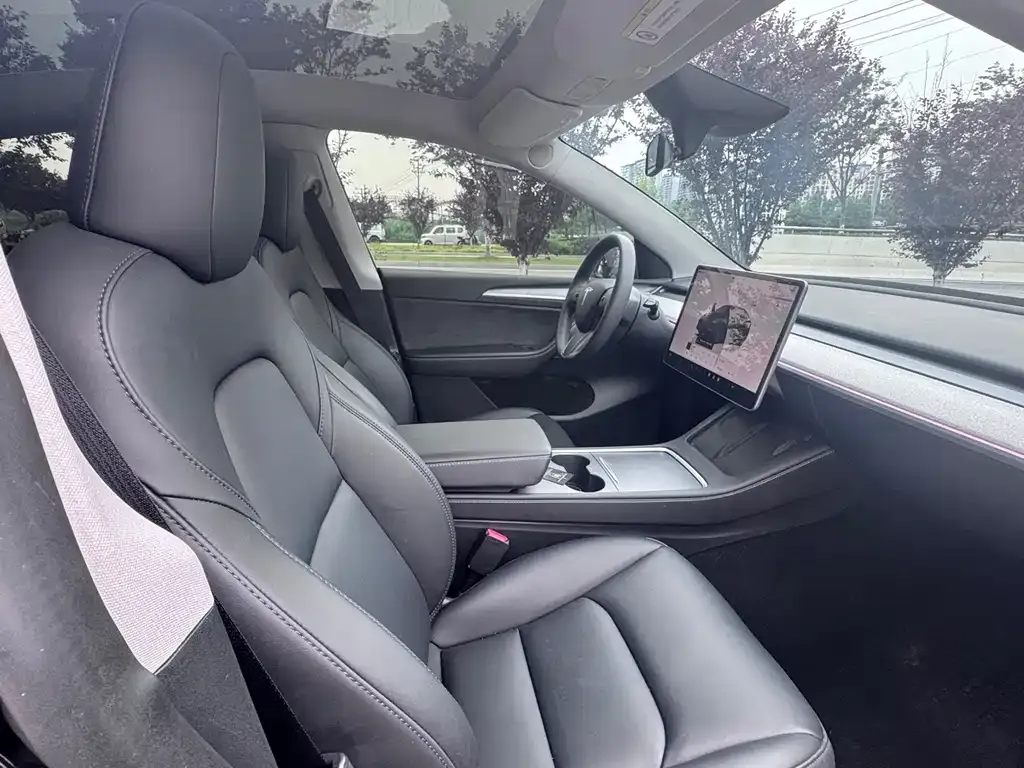 Tesla Model Y — фото 9