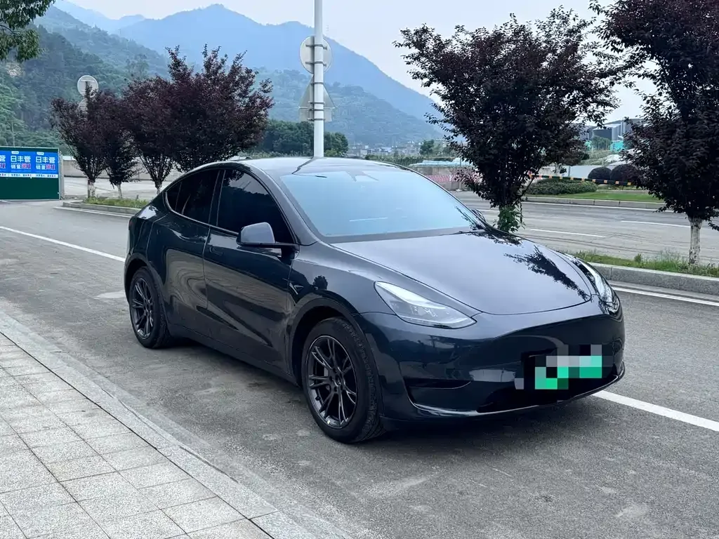 Tesla Model Y — фото 10