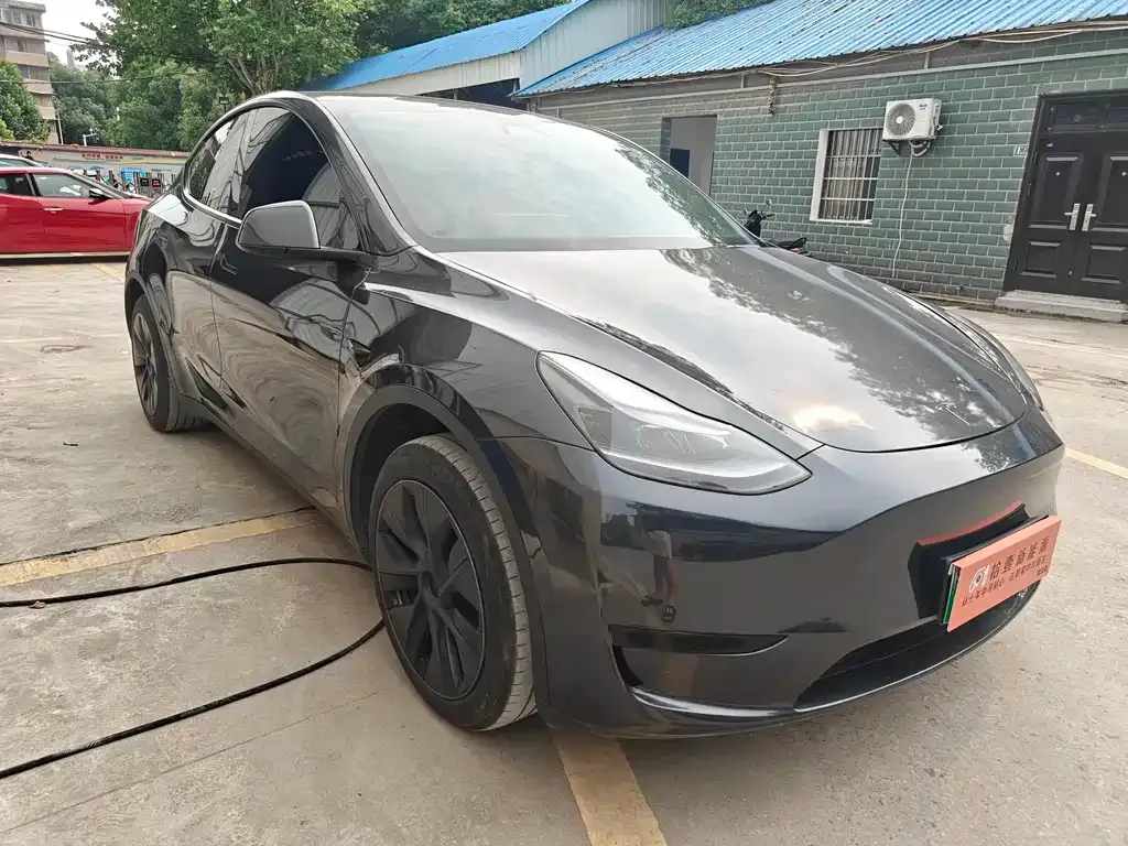 Tesla Model Y — фото 3
