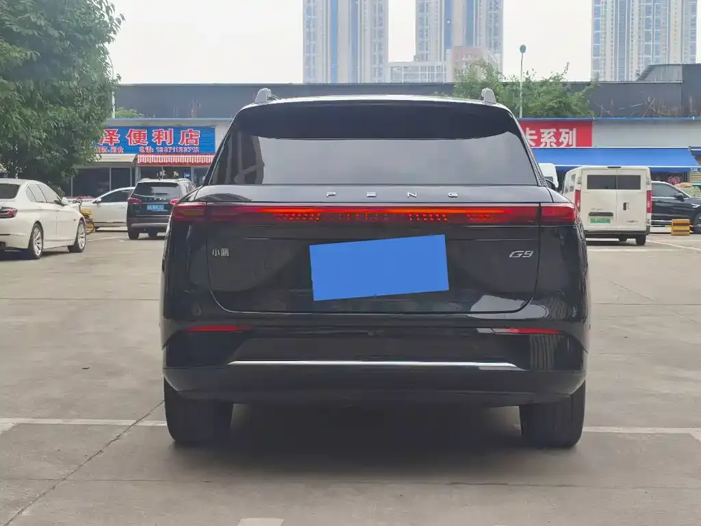 XPeng G9 2025 из CN, фото 4