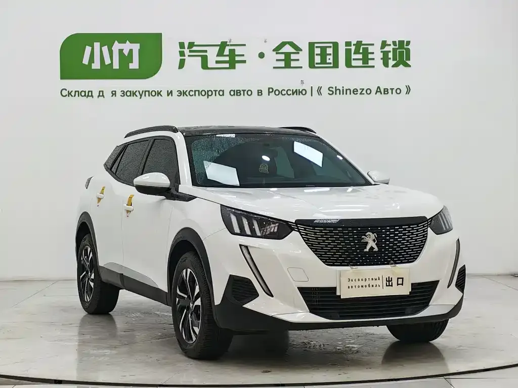 Peugeot 2008 2023 из CN, фото 7