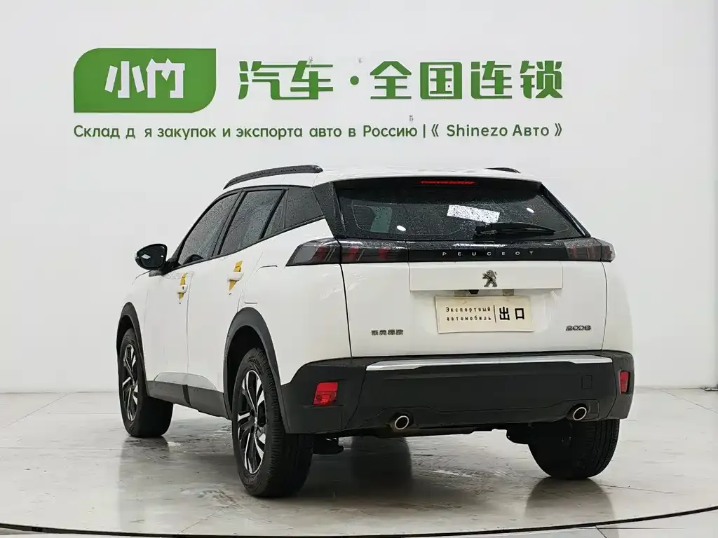 Peugeot 2008 2023 из CN, фото 8