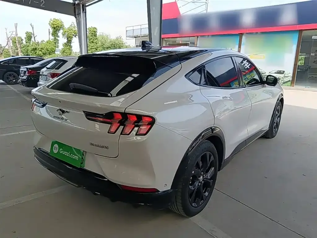 Ford Mustang Mach-E 2024 из CN, фото 9