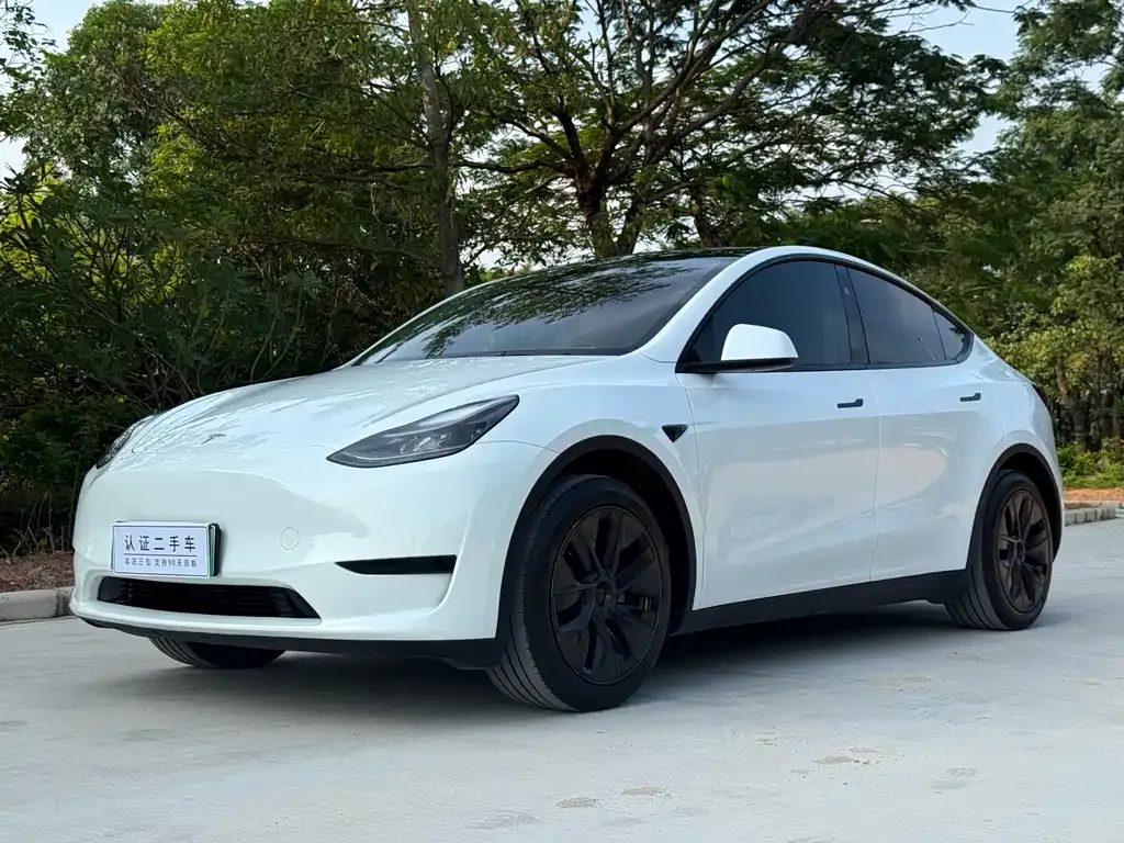 Tesla Model Y — фото 1