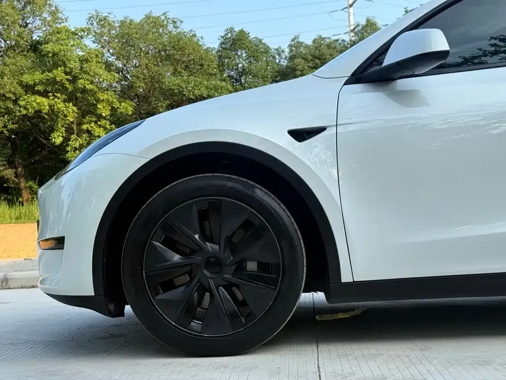 Tesla Model Y — фото 8