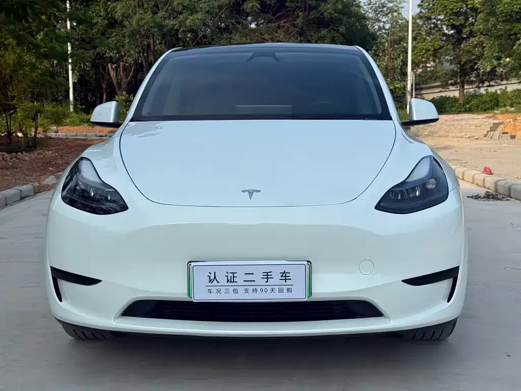 Tesla Model Y — фото 10