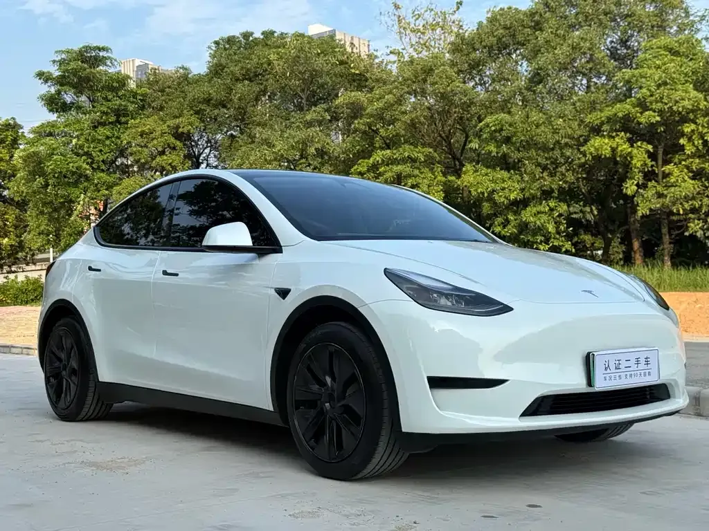 Tesla Model Y — фото 7