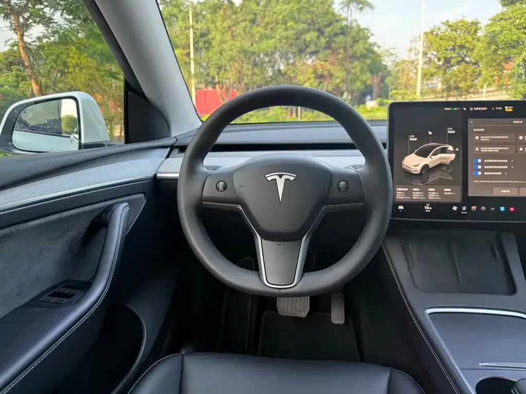 Tesla Model Y — фото 9
