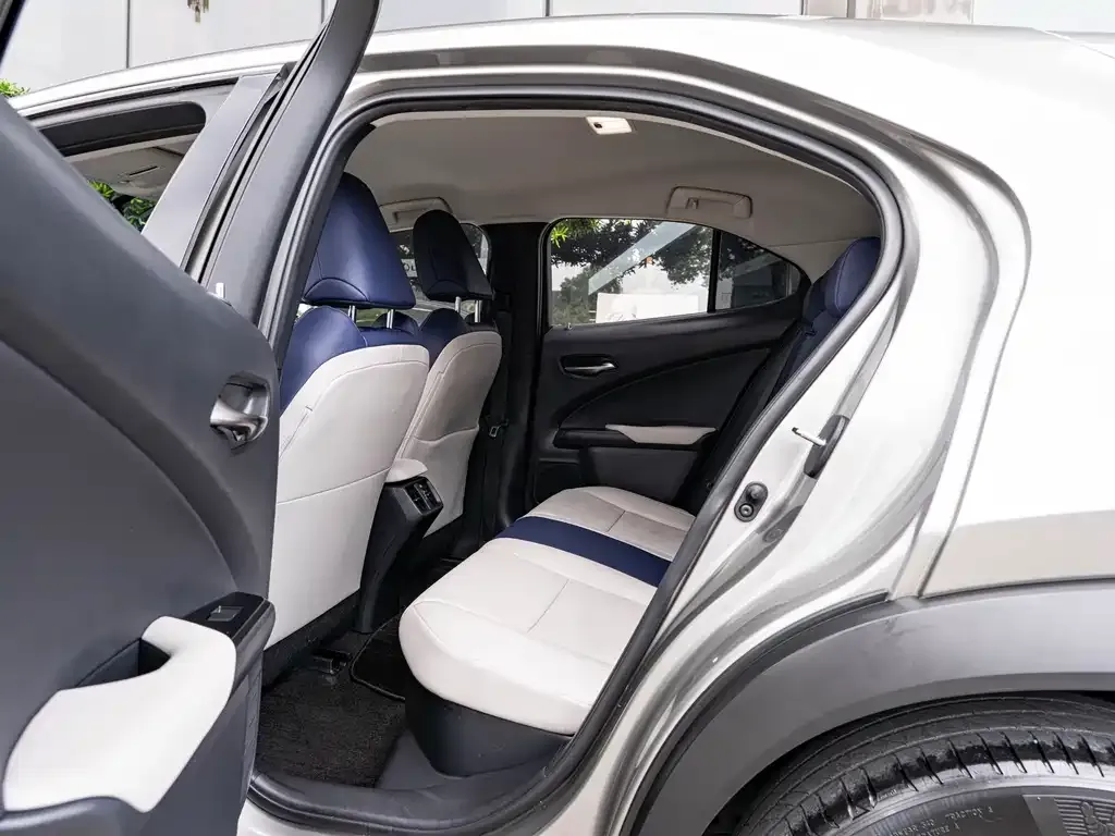 Lexus UX 2021 из CN, фото 4