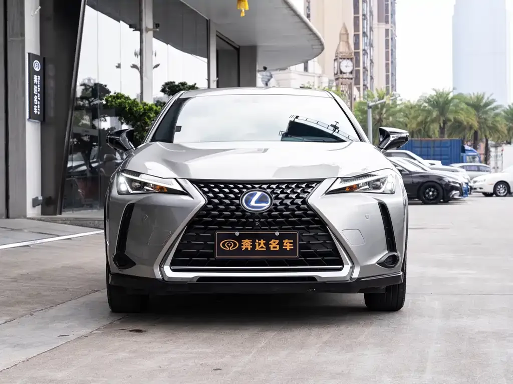 Lexus UX 2021 из CN, фото 10