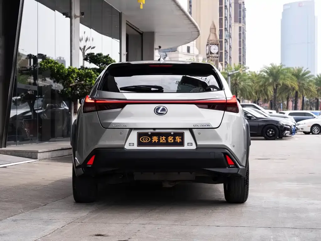 Lexus UX 2021 из CN, фото 9
