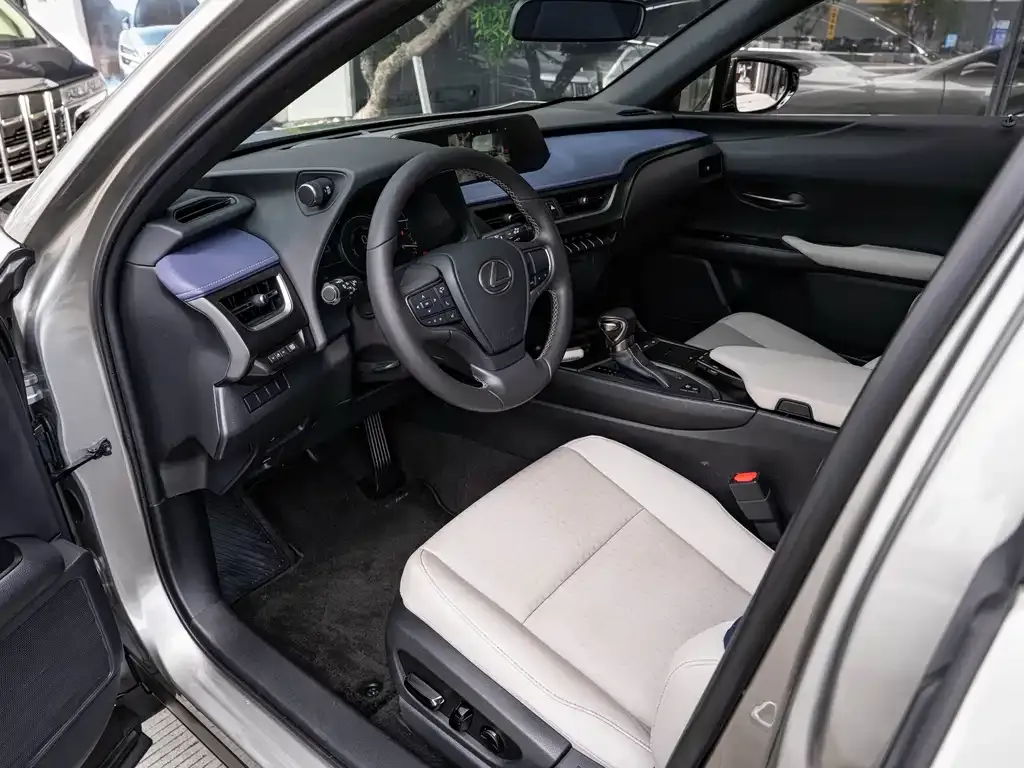 Lexus UX 2021 из CN, фото 7