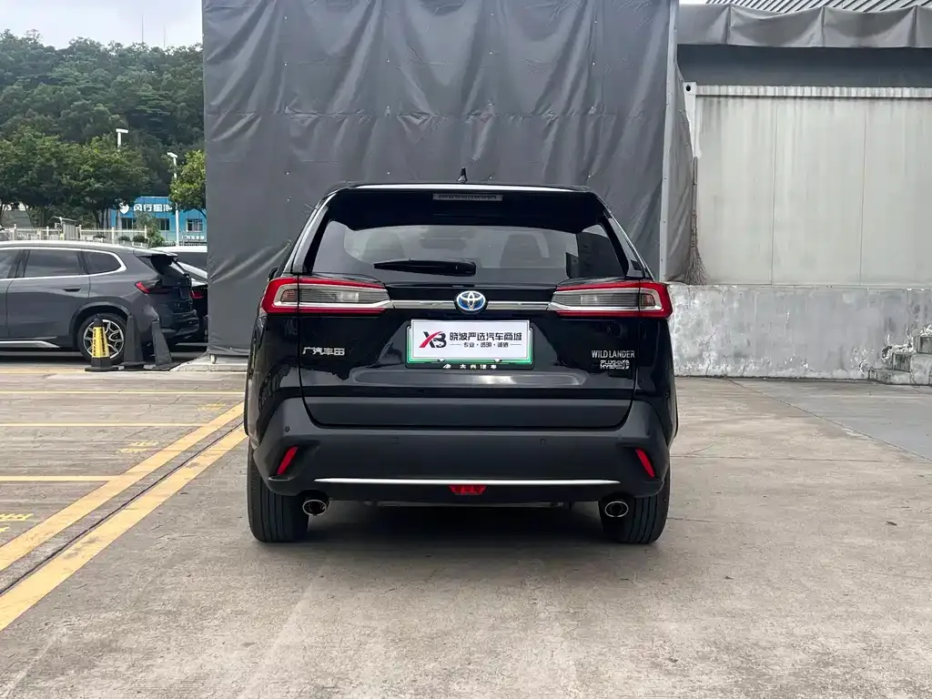 Toyota Wildlander New Energy 2021 из CN, фото 4