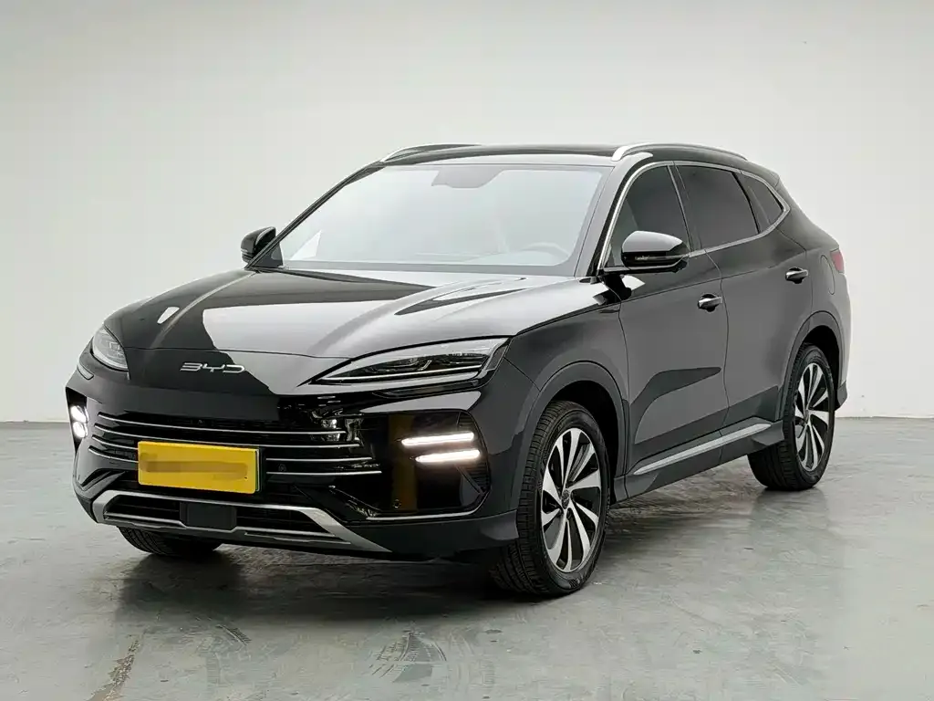 BYD PLUS New Energy — фото 1