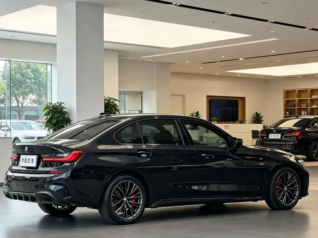 BMW 3 Series 2021 из CN, фото 8
