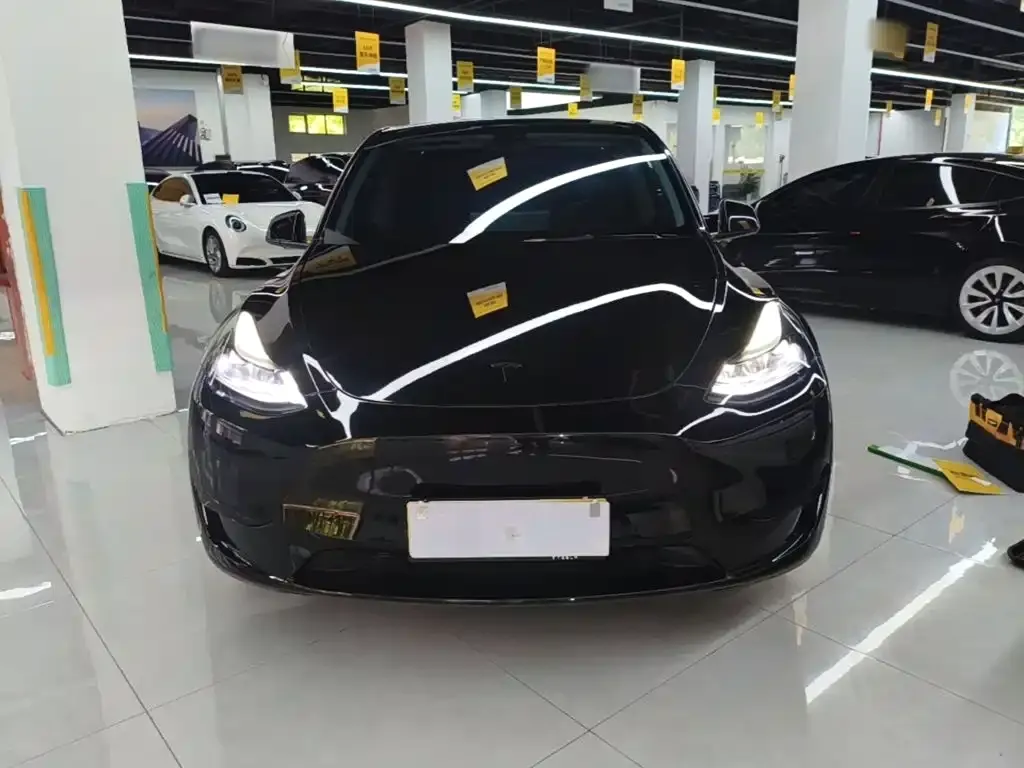 Tesla Model Y — фото 10