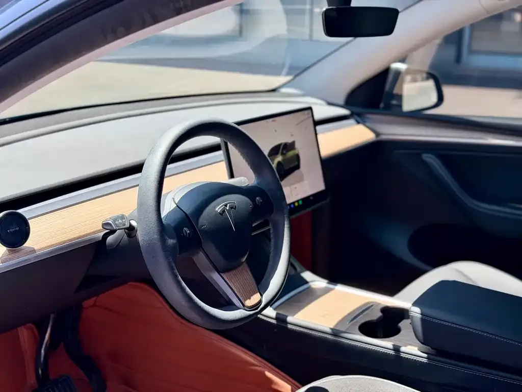 Tesla Model Y — фото 8