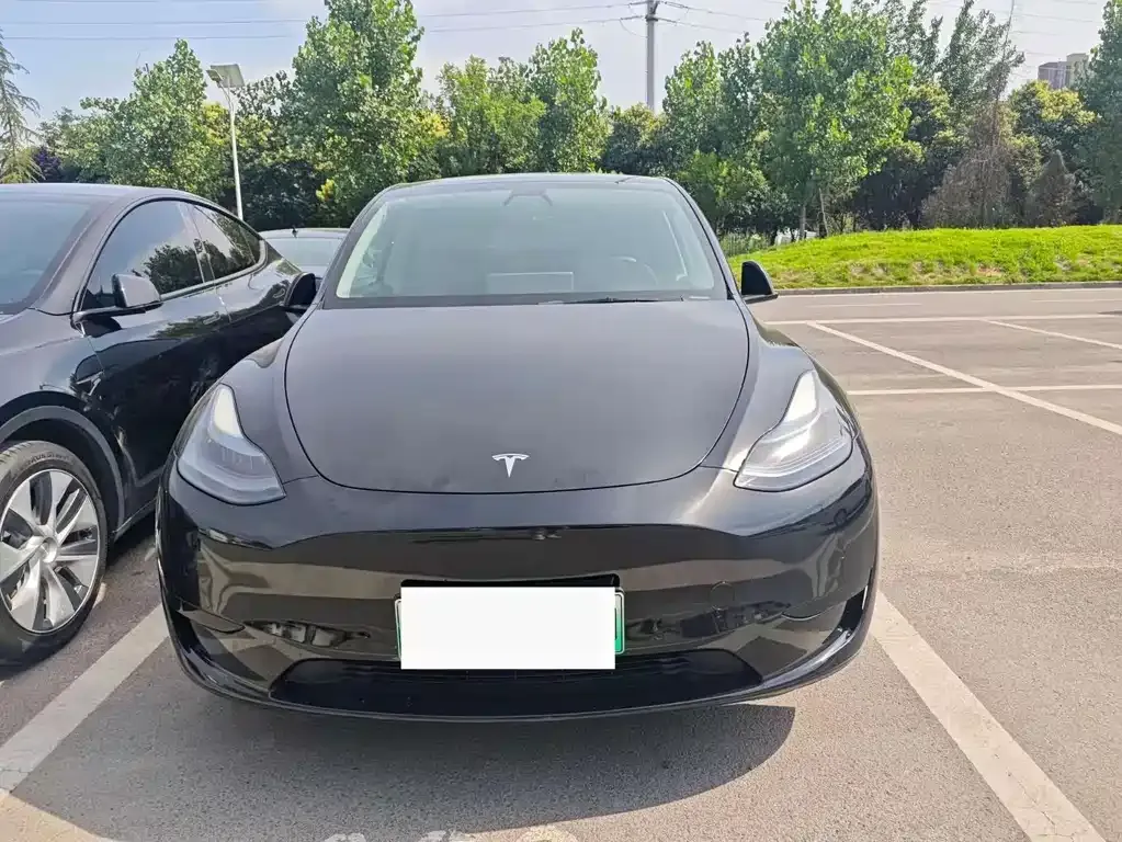 Tesla Model Y — фото 6