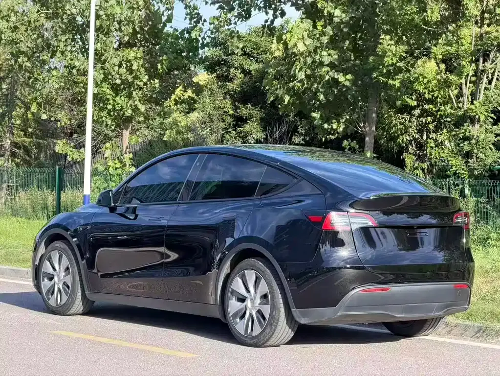 Tesla Model Y — фото 8